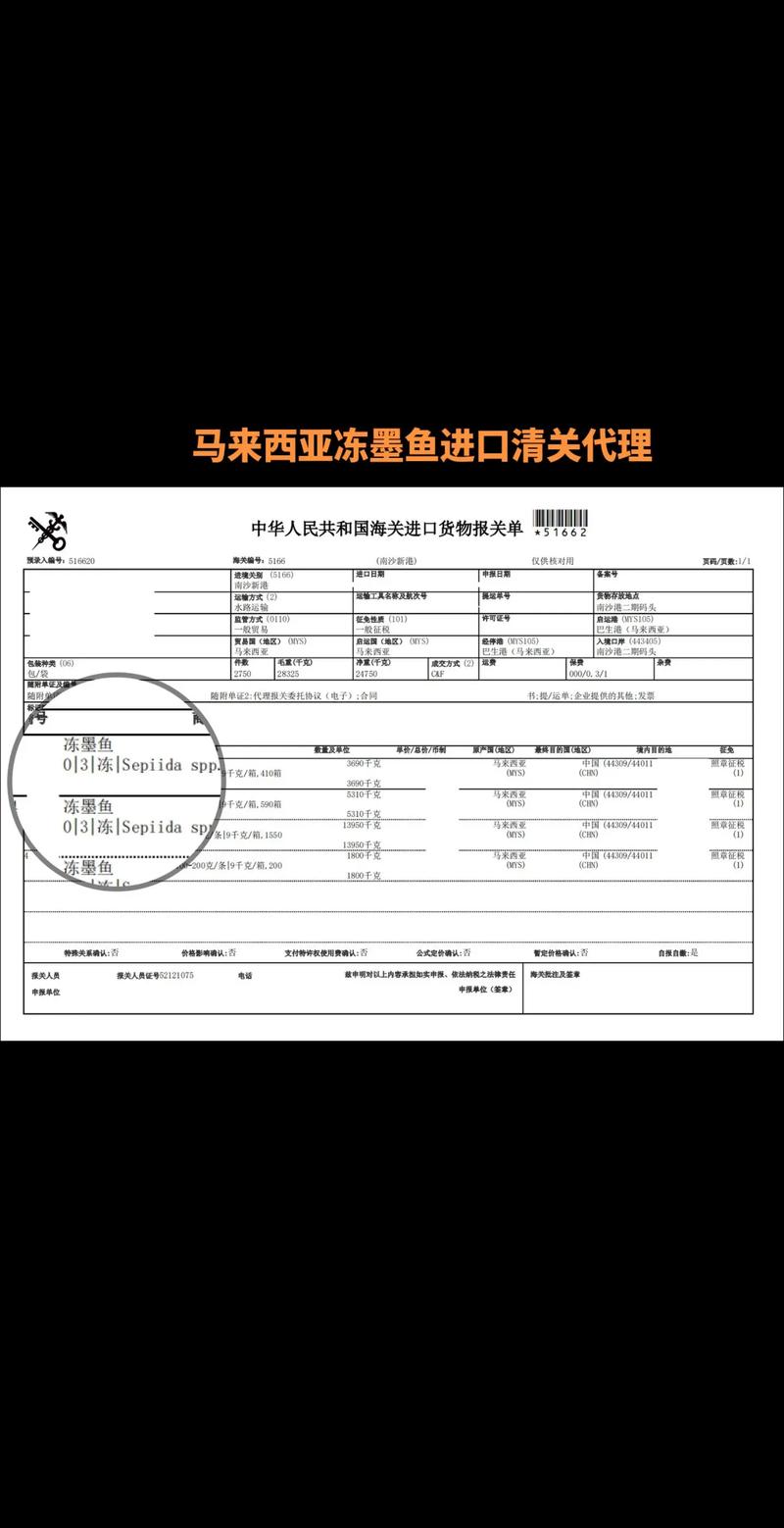 进出口代理行业的高效运营案例分析