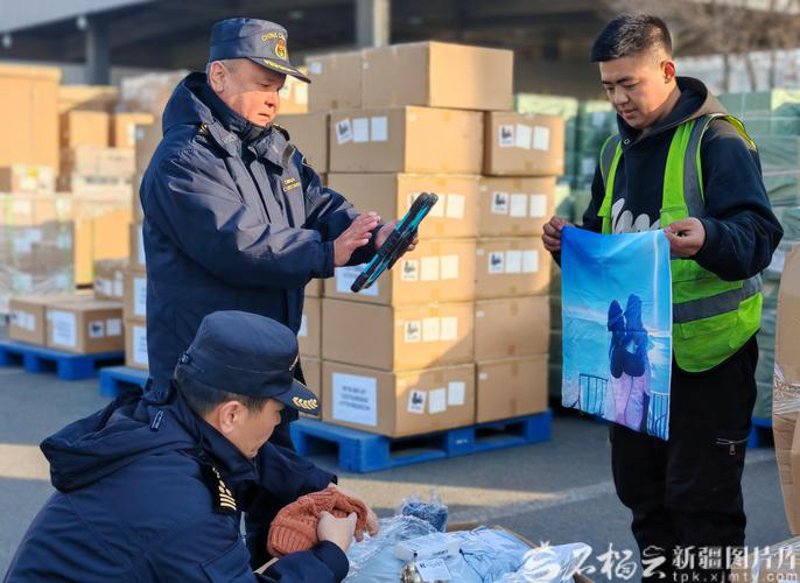 进出口代理选购指南：助您轻松拓展国际市场